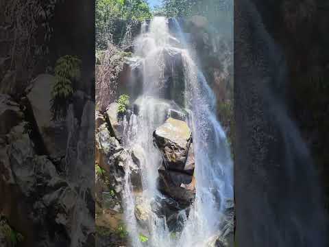 San Luís Antioquia Colombia Perla Verde del Oriente 💚