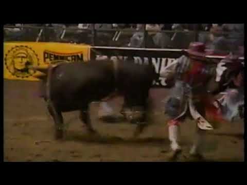 Black Scorpion bucks Charles Litchfield - 97 PBR Ft. Worth