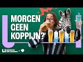Helpt zebradrinken tegen een kater? #dww24