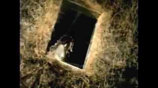 The Kelly Family   Hooks