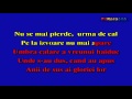 VALERIU STERIAN-Amintire cu haiduci 