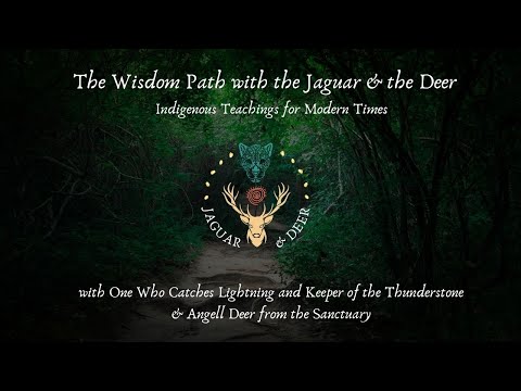 Wisdom Path Video : Community