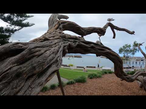 Wollongong Walk & Talk Tour | Southern Coast NSW