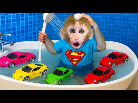 Affe BonBon taucht ein ins M&M-Labyrinth und spaziert mit dem Welpen im Park 🐒🍬🐶🌳