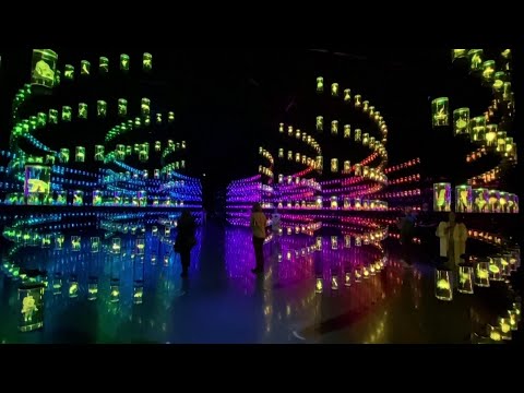 A Virtual Tour of Dubai’s New ‘Museum of the Future’