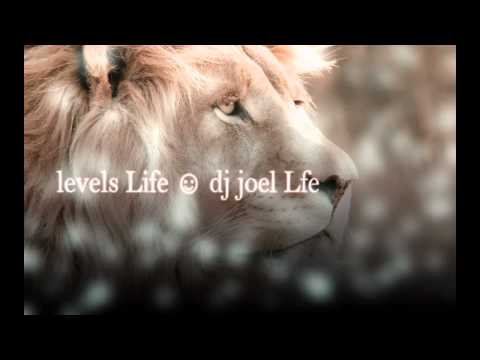 Levels Life -  Joel LIFE (Elektro 2012)