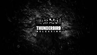 Download lagu Thunderbird Releasing (2018) mp3