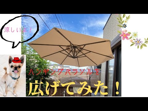 あなたのアウトドアスペースにどのパラソルを選びますか？  庭園