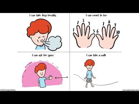 Anger and Autism : Animated Social Stories for Children With Autism
