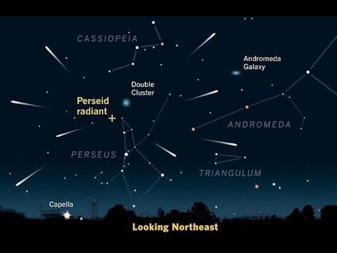 Perseid Meteor Shower 2021 #Short