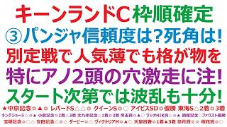 【キーンランドカップ2026】枠順確定　③パンジャタワーの信頼度は？死角は！別定戦で、人気薄でも格が物をいうレース。特に、アノ2頭の穴激走には注意が必要！スタート次第では、波乱も十分ある競馬です。
