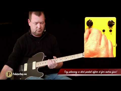 ギター Pollyanna octave ギター Pollyanna octave ギター Pollyanna