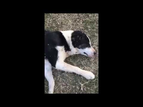 You want some crawfish Jimmy?