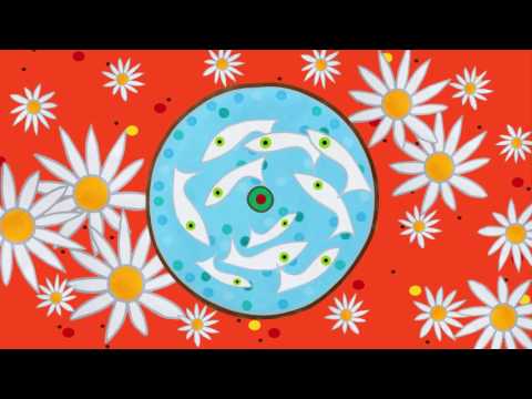 Dazaranha - Afinar as rezas