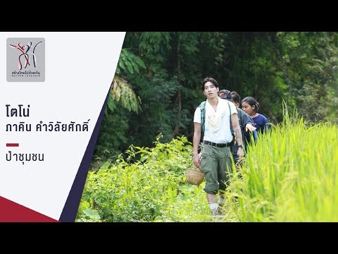 คลิกเพื่อดูคลิปวิดีโอ