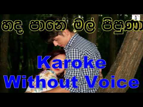 Handapane Mal Pipuna - Sisira Seenarathna Karoke Without Voice