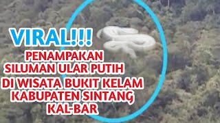 Download lagu VIRAL!! PENAMPAKAN SILUMAN ULAR PUTIH mp3