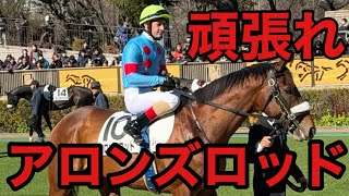 まるでG1！？頑張れアロンズロッド！！【2/8 東京 第6Ｒ ゴール板前】 [概要欄参考]