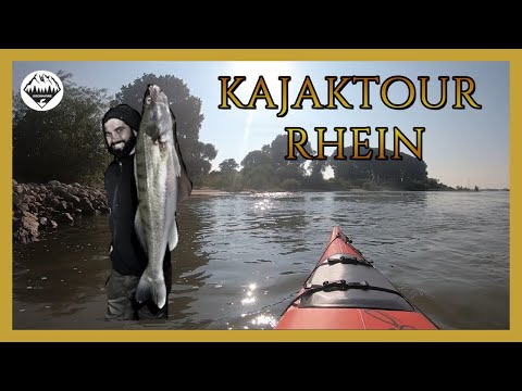 Kajaktour auf dem Rhein - Griethausen