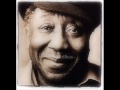 Muddy Waters-Katie
