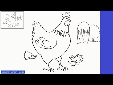 Huhn zeichnen lernen einfach schritt für schritt für anfänger 13 – Zeichnen lernen tutorial