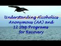 Understanding Alcoholics Anonymous AA And 12 Step Programs For Recovery