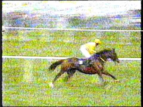 1996 - Aintree - Aintree Hurdle - Urubande