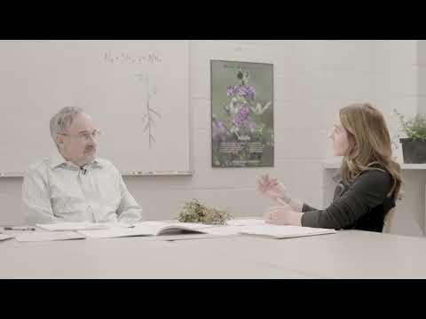 2024 Nitrogen Long Alfalfa Short Rotation