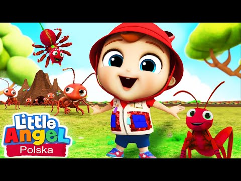 Robaczki nie są straszne | Piosenki Dla Dzieci | Little Angel Po Polsku