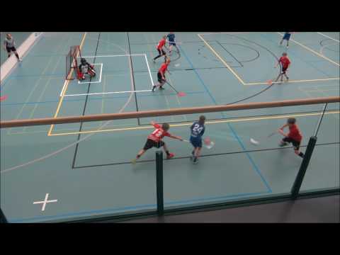 SUDET D03 pun-NST 18.2.2017  3ERÄ