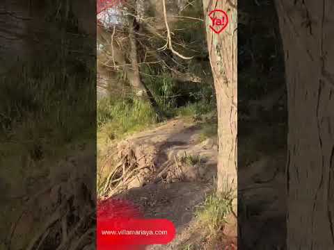 Villa Nueva: afirman que el paso del rally podría acelerar la caída de tierras ribereñas