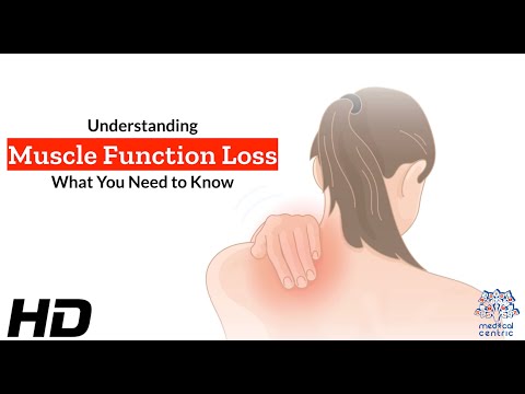 Effects of Cannabis on your body