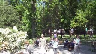 7. Tibet Terrier Treffen der FTTGB e.V.