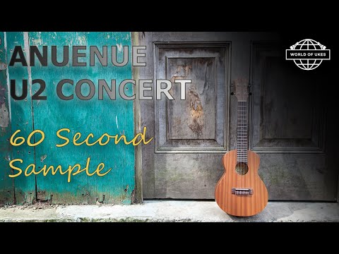 Sixty Second Sound Samples - aNueNue U2 Concert Ukulele