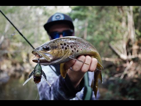 DUO Koshinmusi Original Treble