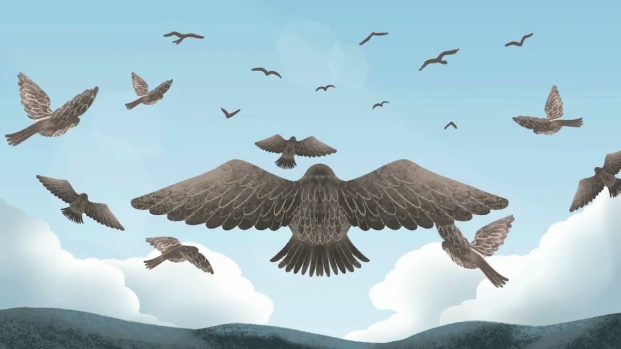 World Migratory Bird Day 2025 Animation 'Shared Spaces' (Short ver.)