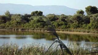preview picture of video 'Βρωμολίμνη Αγίου Κωνσταντίνου Φθιώτιδας'