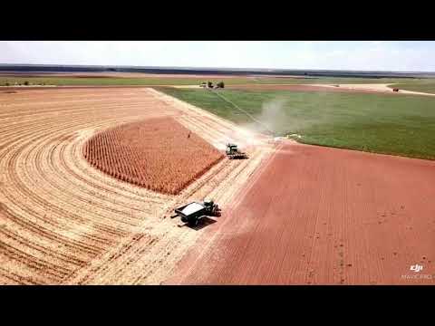 Teeter Farms- Lockney, TX