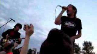 Social Code - Cats and Dogs