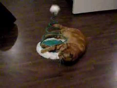 Sjaakie met ze spiraaltje