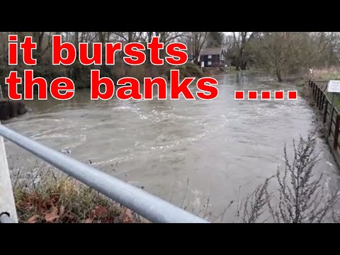 CHUB FISHING RIVER WAVENEY flooded out