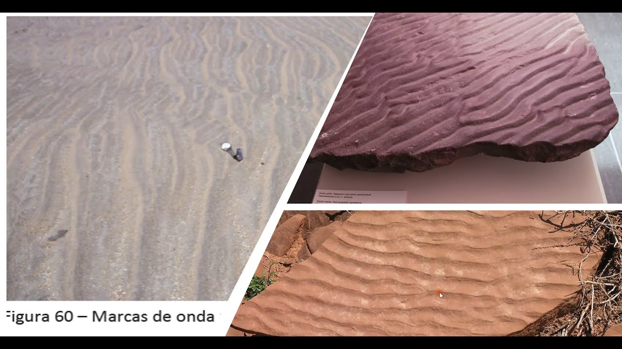 Texturas e estruturas das rochas Sedimentares. Profa Maria Giovana Parisi. IGC-UFMG