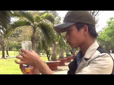 Bottle Magic - by Thanh Leeto and Hoang Sam