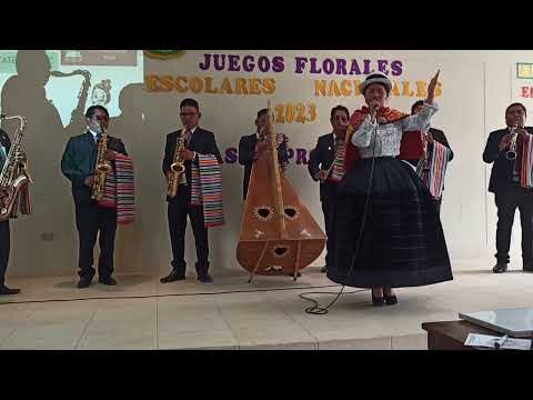 Muliza falsia - Aracelly Leiva Damián