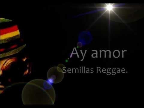 Semillas Reggae - Ay amor (Lyrics)