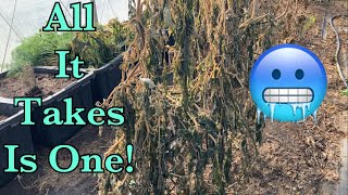 And Just Like That! Preparing Now For Spring Gardening!