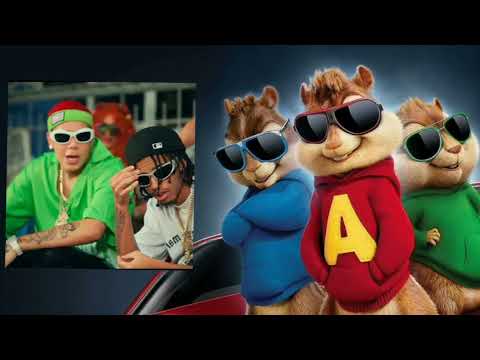 Yaisel LM, Kreizy K - 🐿🔊 (Ardilla Oficial) Prepotente