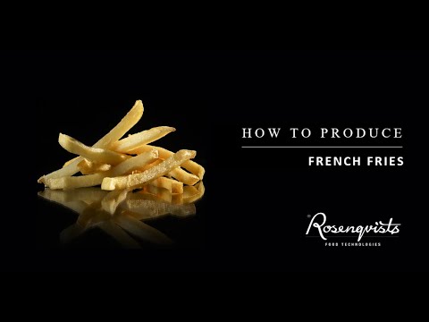 Rosenqvists French Fries coating line