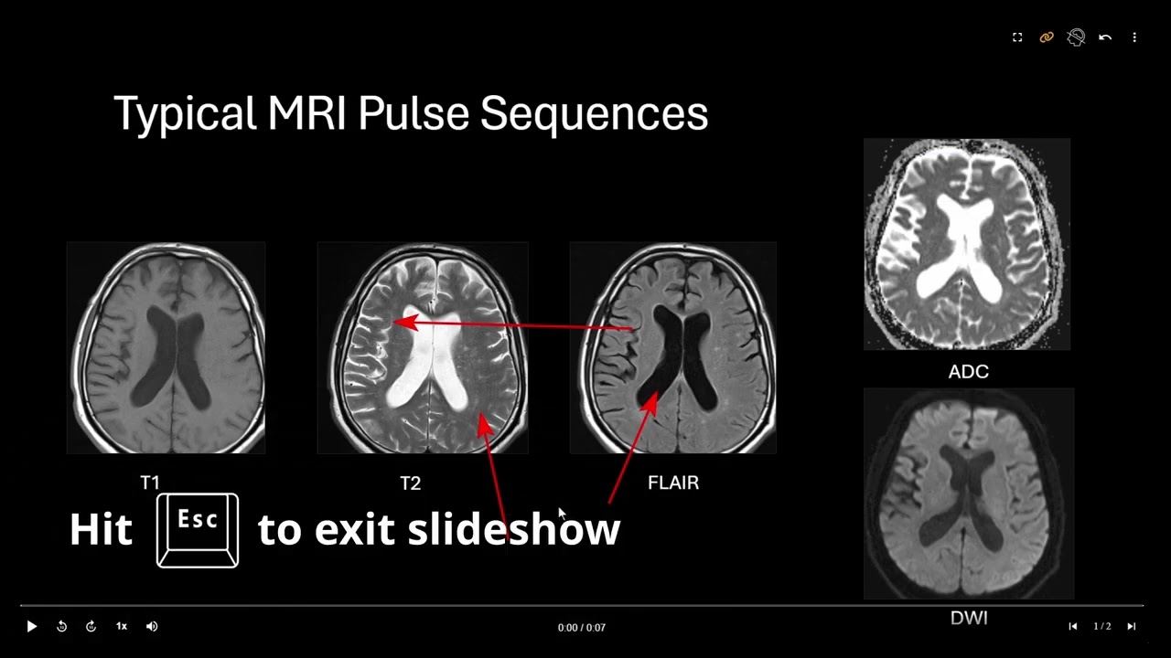 RadPPTX Editor Tutorial