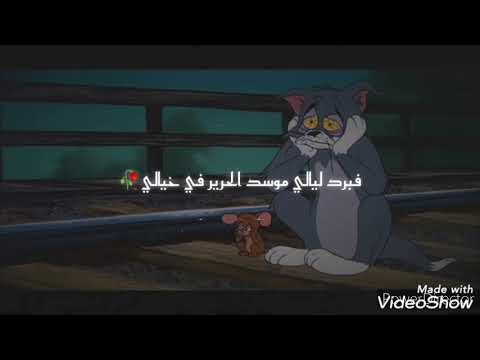 REMIX LGAMRA & ANIMATION TOM&JERRY❤️✨